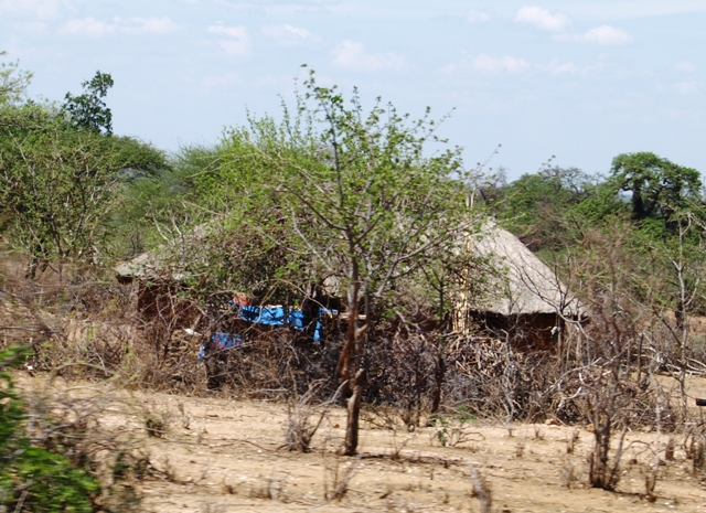 OLYMPUS DIGITAL CAMERA OLYMPUS DIGITAL CAMERA