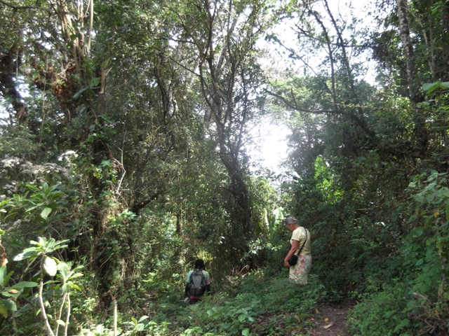 kratermeer_01_terugweg_kratermeer.jpg kratermeer_01_terugweg_kratermeer.jpg