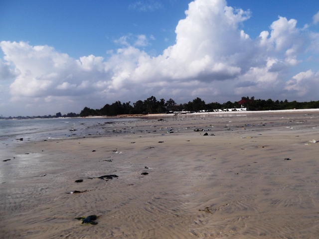 strand_zooi_op_strand.jpg strand_zooi_op_strand.jpg