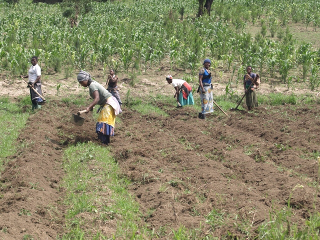 OLYMPUS DIGITAL CAMERA OLYMPUS DIGITAL CAMERA