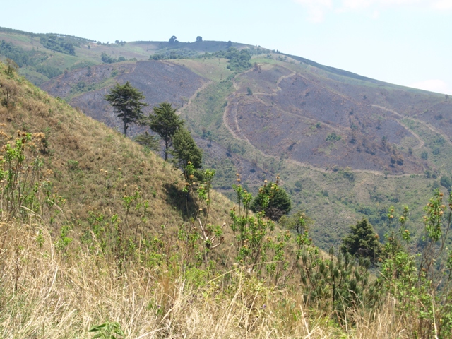 OLYMPUS DIGITAL CAMERA OLYMPUS DIGITAL CAMERA