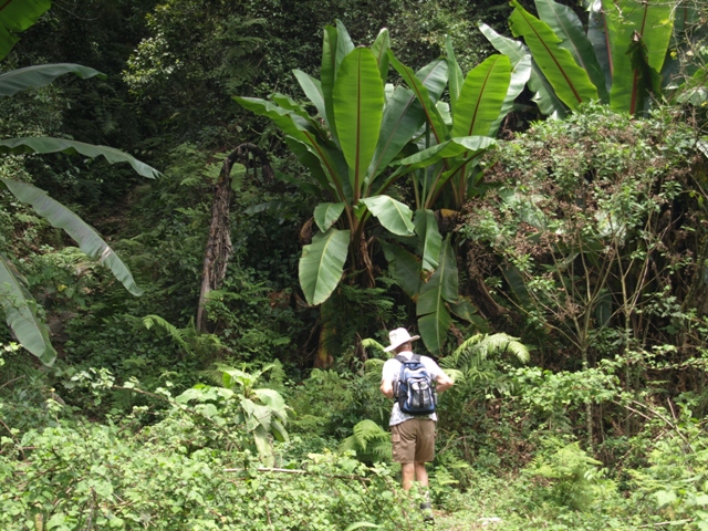 OLYMPUS DIGITAL CAMERA OLYMPUS DIGITAL CAMERA